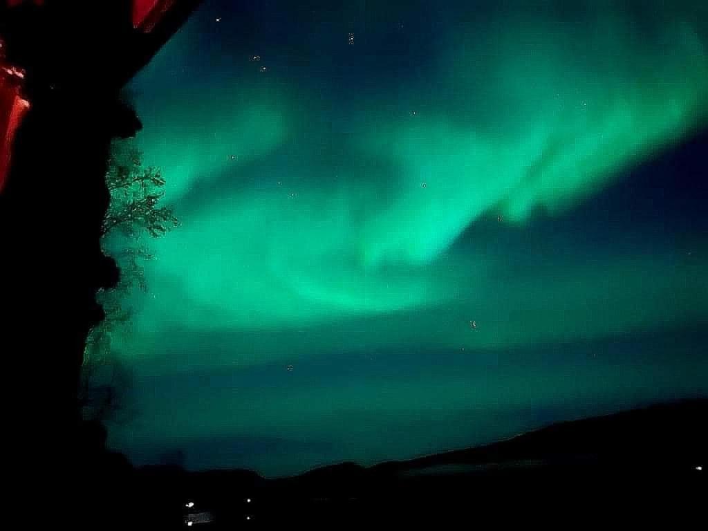 Cosy Cabin In North-Norway, Nearby Senja. Sorreisa Екстериор снимка